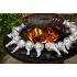 Actie GrillRing-Set 90 Woodstock + Gratis Oliekan